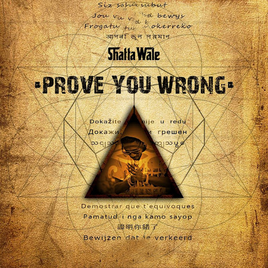 Shatta Wale - Prove You Wrong