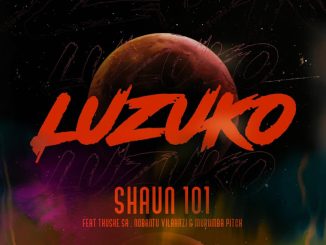 Shaun101 - LUZUKO ft. Nobantu Vilakazi, Murumba Pitch & Thuske SA