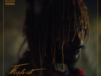 Thundercat - It Is What It Is Ft. Pedro Martins