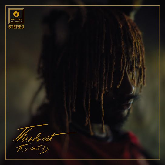 Thundercat - It Is What It Is Ft. Pedro Martins