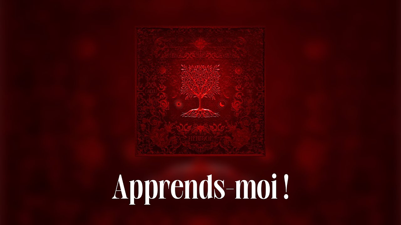 Dadju - Apprends ft. Tayc