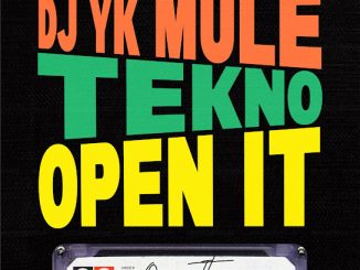 Dj Yk Mule – Open It ft. Tekno