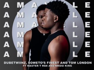 Dube Twiinz - Amawele ft. Tom London, Soweto's Finest, Master T Rox & Nkosi King