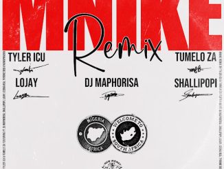Shallipopi - Mnike Remix