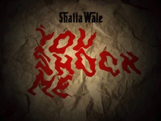 Shatta Wale - You Shock Me