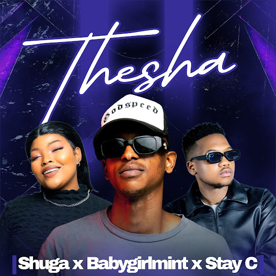 Shuga - Thesha ft. Babygirlmint & Stay C