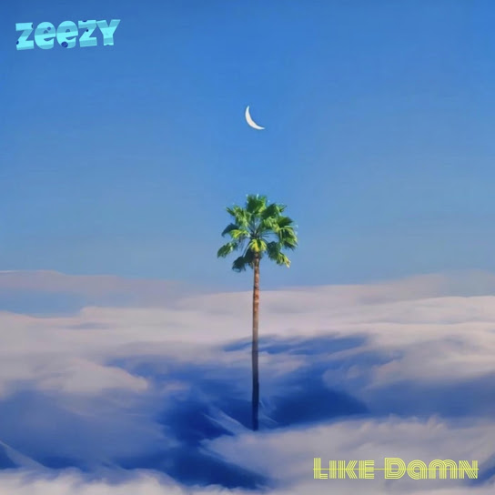 Zeezy - Like Damn