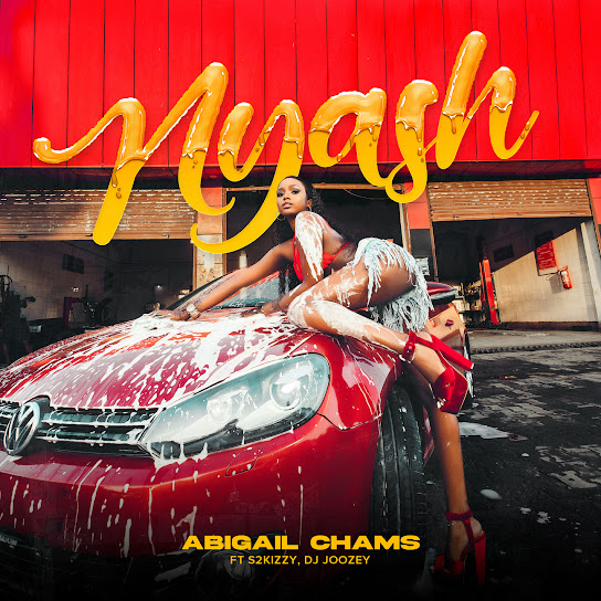 Abigail Chams - Nyash ft. S2Kizzy & DJ Joozey