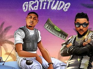 DJ OP Dot - Gratitude ft. oritse femi