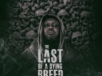 Hammer of The Last Two - Sarkastic Ft. Sarkodie & Worlasi