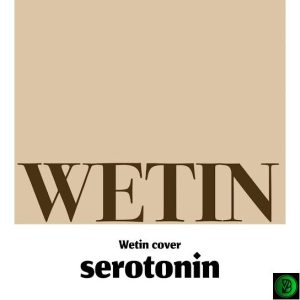 SeroOtonin – Wetin