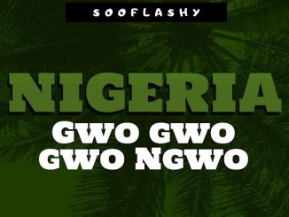 Sooflashy – Nigeria Gwo gwo gwo Ngwo