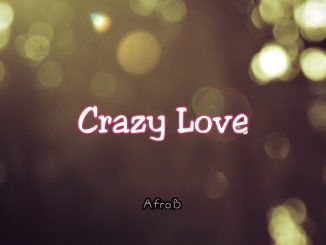 Afro B - Crazy Love ft. Sena