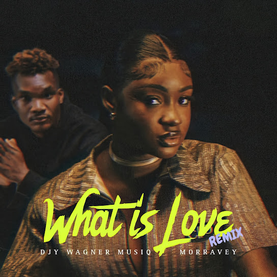 Djy Wagner Musiq - What Is Love (Remix) ft. Morravey