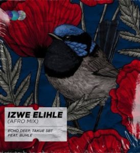 Echo Deep – Izwe Elihle (Afro Mix) ft Takue SBT & Buhle