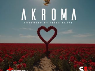 Strongman – Akroma