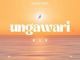 Supertonic – UNGAWARI