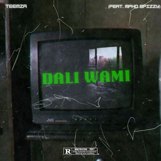 Teemza - Dali Wami Ft. Mpho Spizzy