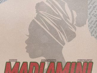 DoouShii - MaDlamini ft. Scotts Maphuma, Mellow & Sleazy