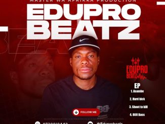 Eduprobeat – Hard kick (Eduprobeat)