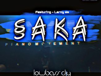 Lowbass Djy - ph Saka (danger project) ft. Leroy SA