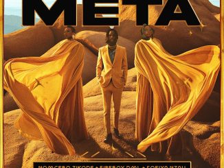 Nomcebo Zikode – META ft. Sofiya Nzau & Fireboy DML