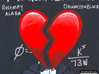 Rose May Alaba - Mr Heartbreaker ft. Odumodublvck