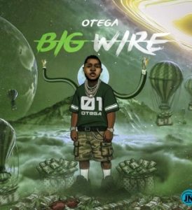 otega – Big wire